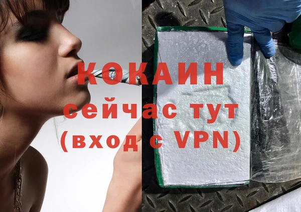 шишки Медногорск