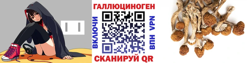 Галлюциногенные грибы мицелий Тбилисская